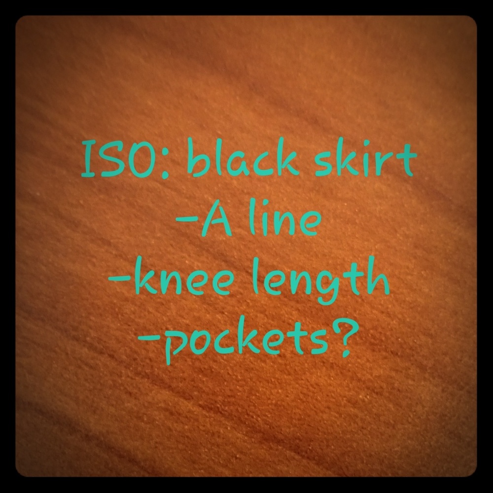 Not selling! ISO black skirt